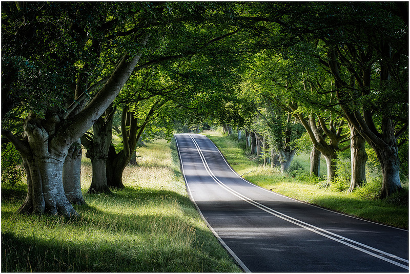Shady Blandford Road, Blandford Forum, Dorset