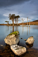 Assynt Dawn