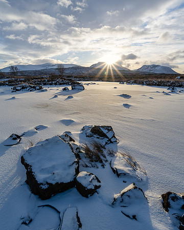 Winter Burst
