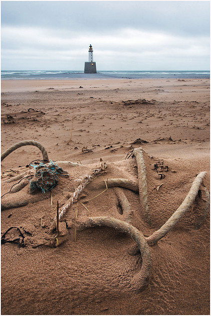 Washed up at Rattray Head Lighthouse, Scotland