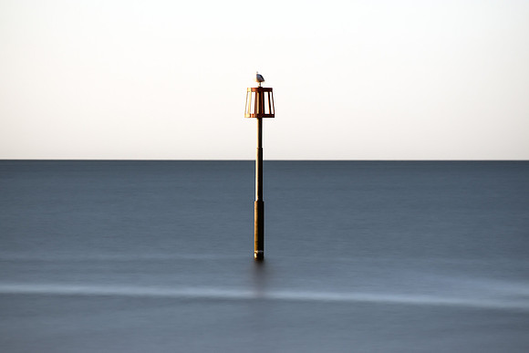 Long exposure image of a lone sea bird warming itself on top of a marker post at sunrise at Dawlish Warren in Devon.