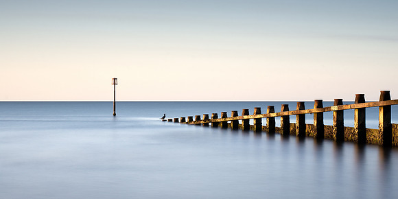 long exposure image of a sea bird sitting on the end of a groyne at sunrise on Dawlish Warren in Devon.