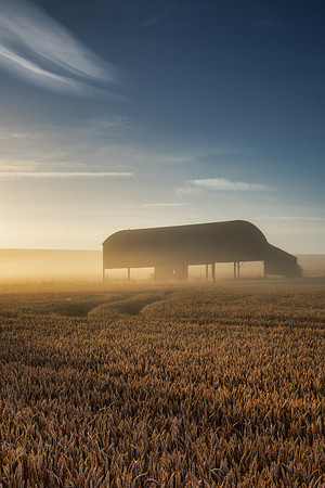 Sunrise on a misty morning lights up the wheat and the farmers barn in Sixpenny Handley.
