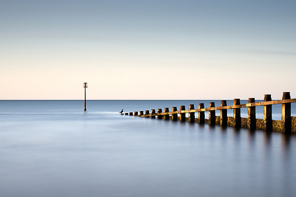 long exposure image of a sea bird sitting on the end of a groyne at sunrise on Dawlish Warren in Devon.